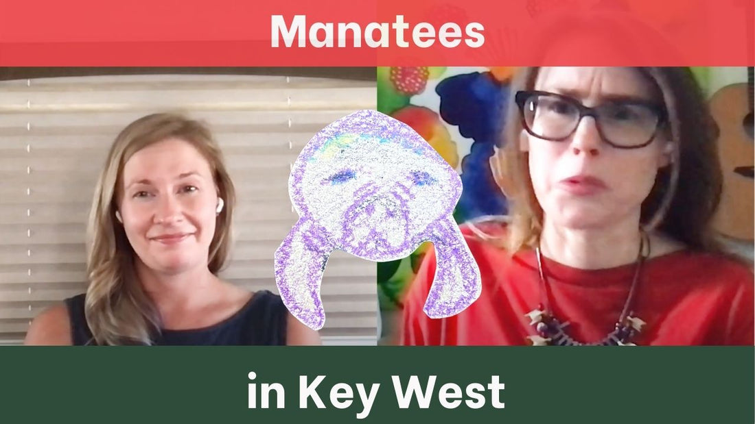 Manatees in Key West