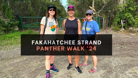 Florida Panther  Walks